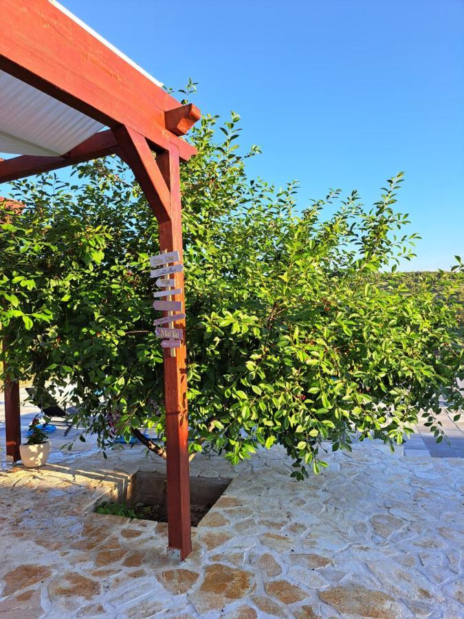 Guest House "The View" - With A Pool Donje Polje Екстериор снимка
